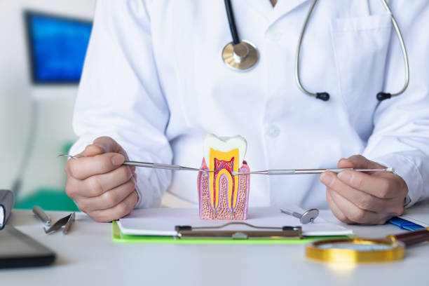 Best Emergency Root Canal Treatment in Medpolis, IA
